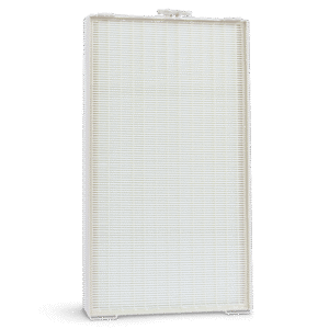 Atmosphere Sky™ Replacement HEPA Filter