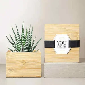 Lula's Bamboo Zebra Garden - You Did It - FedEx