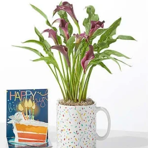 Purple Calla Celebration Mug + Birthday Pop Up Card - FedEx